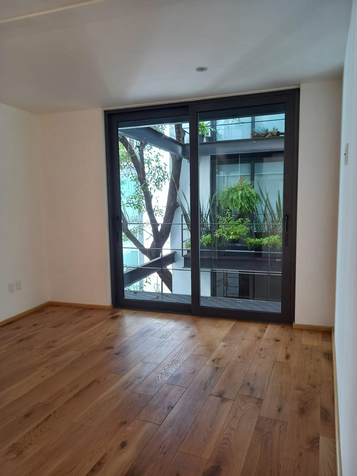 Ensenada VII image 5