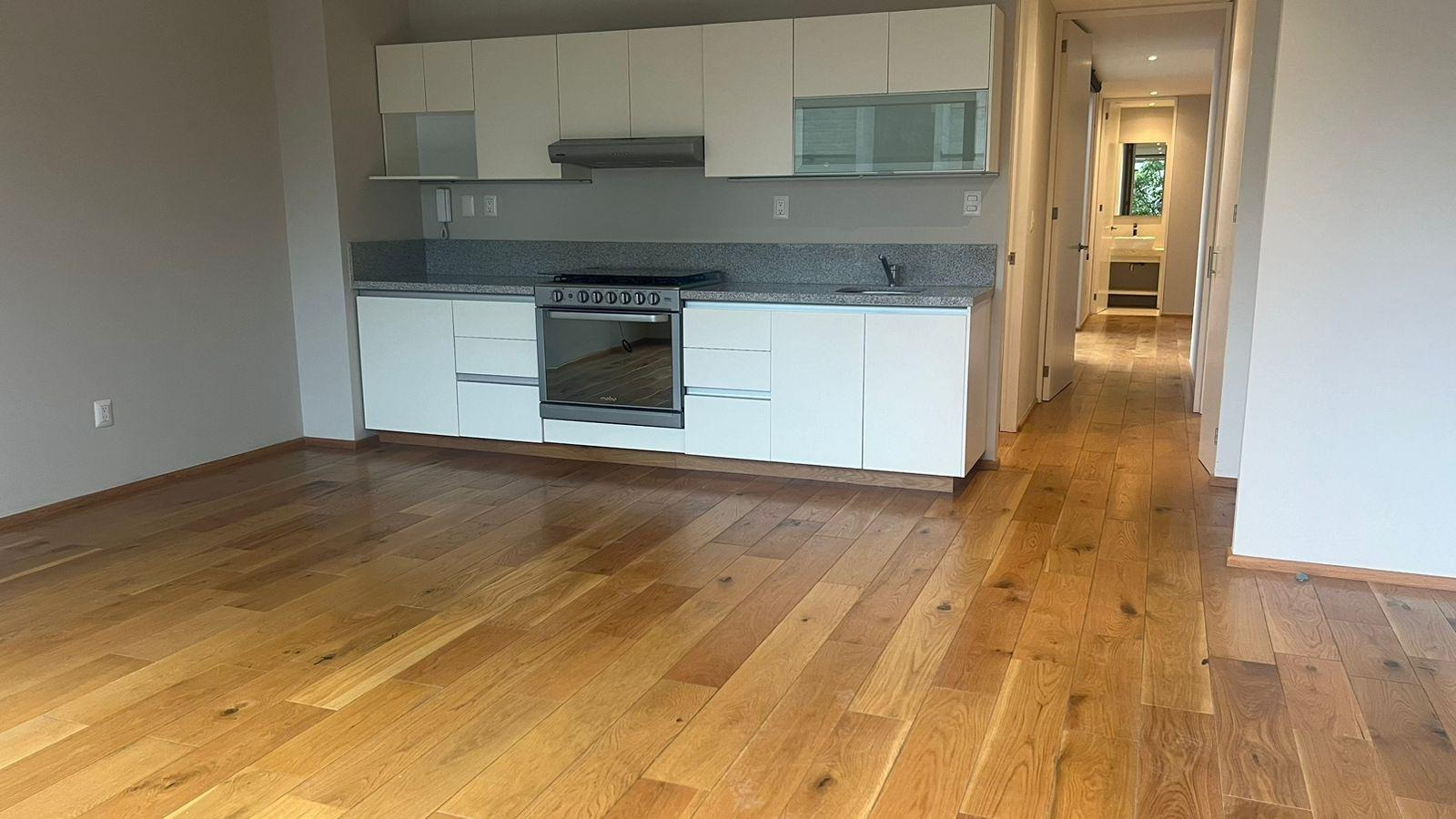 Rio Balsas V image 1