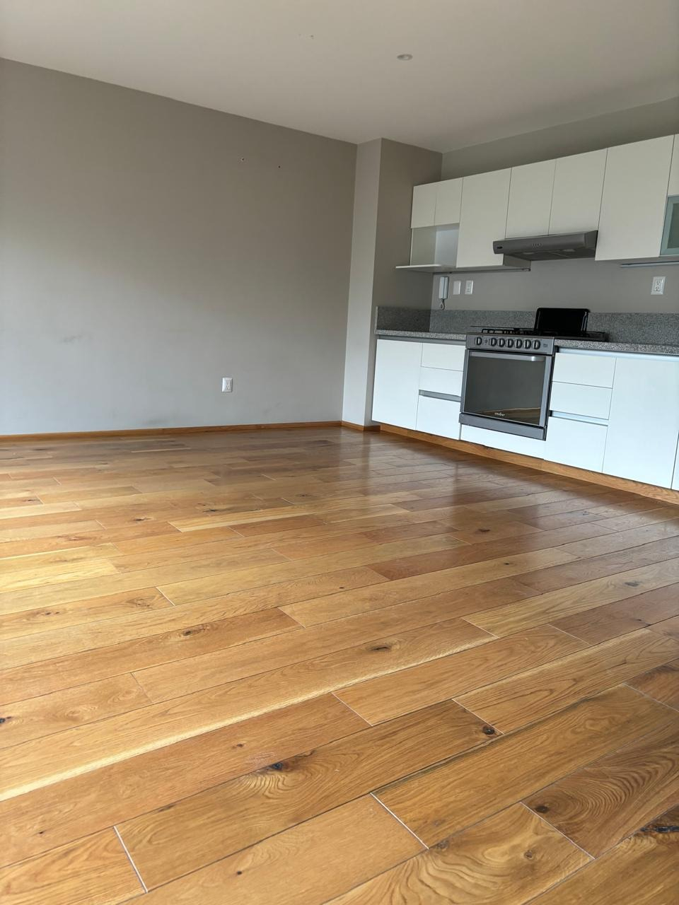 Rio Balsas V image 2