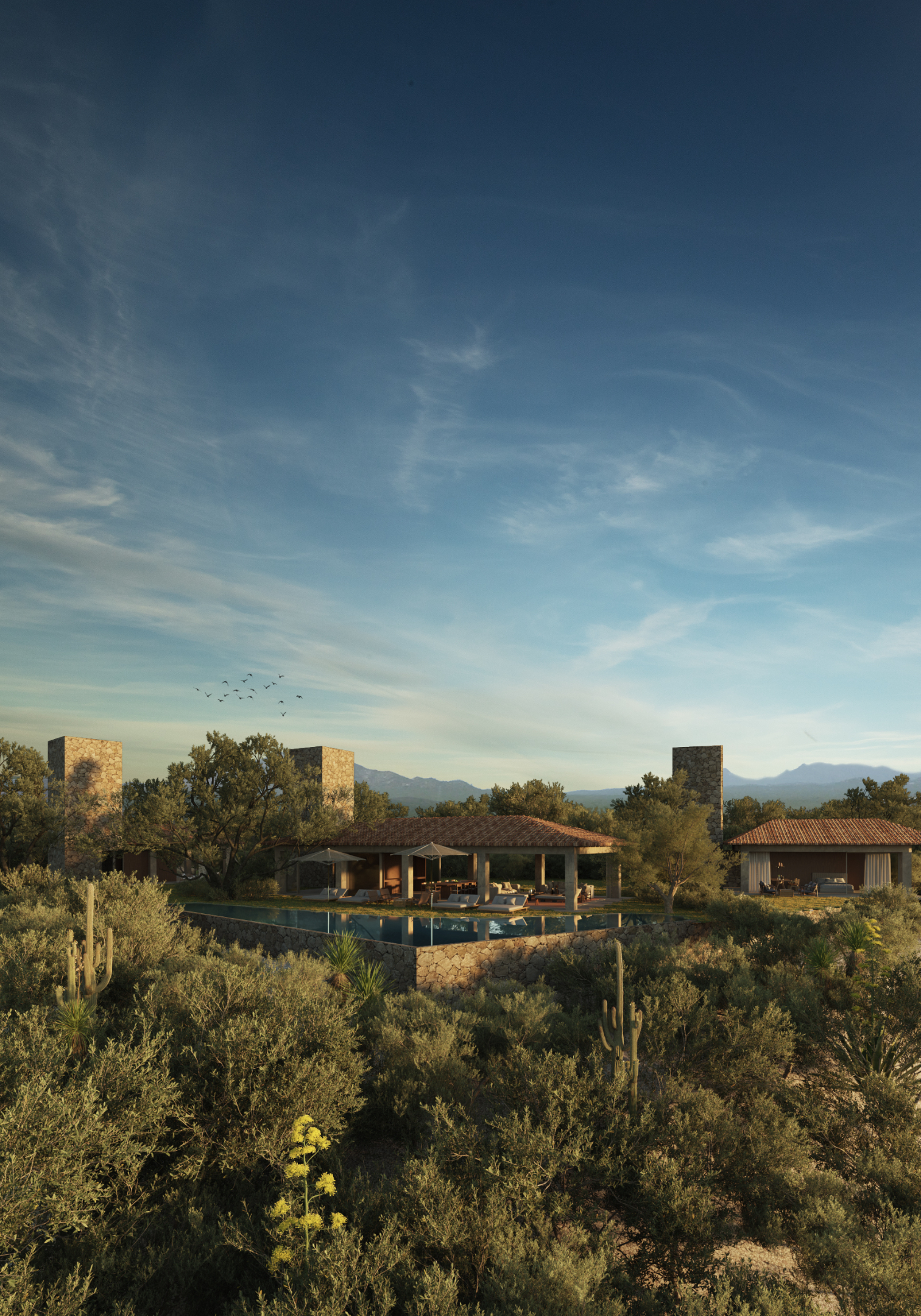 Palmilla Hills 1