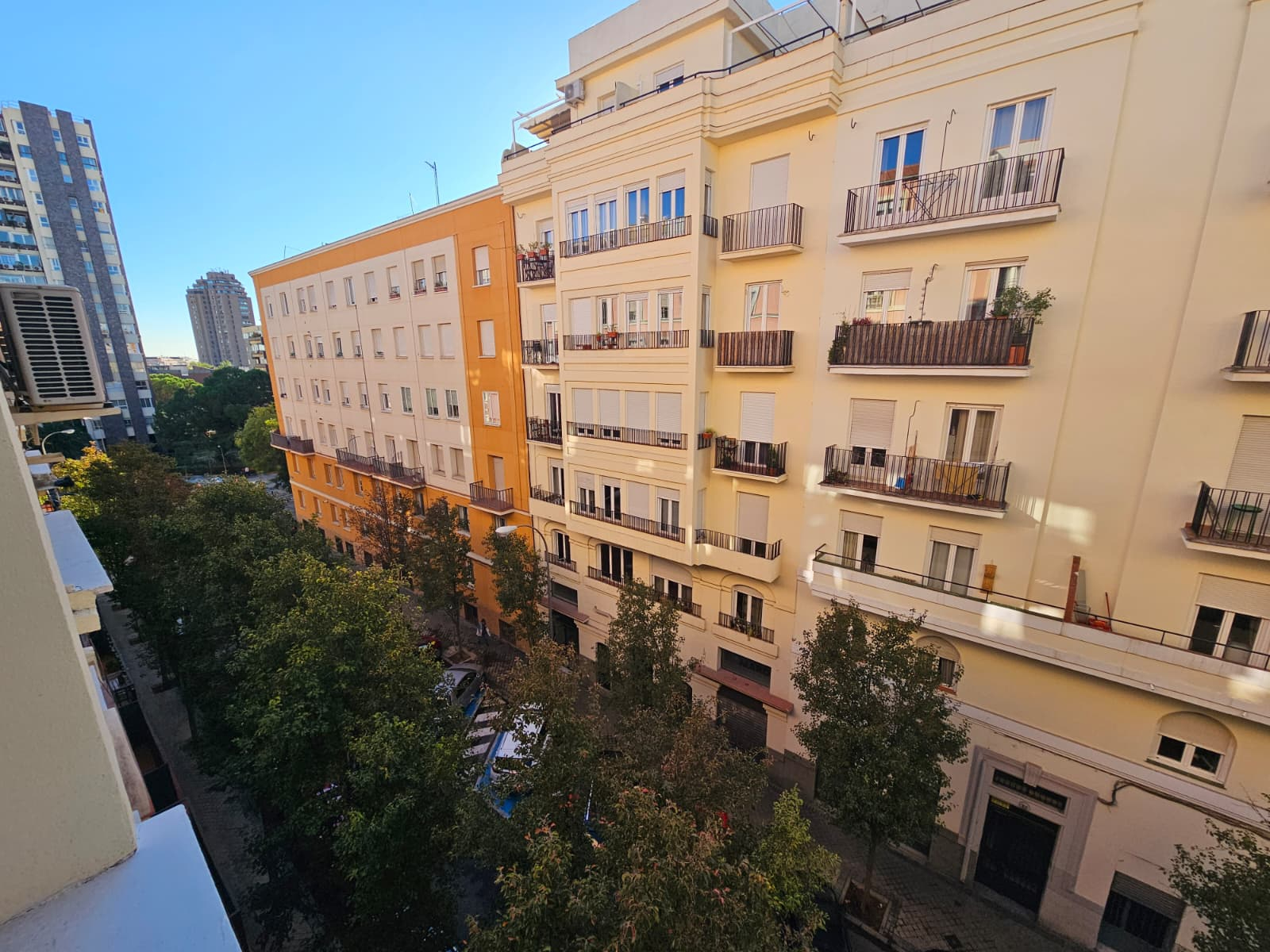 Fernán González X image 2