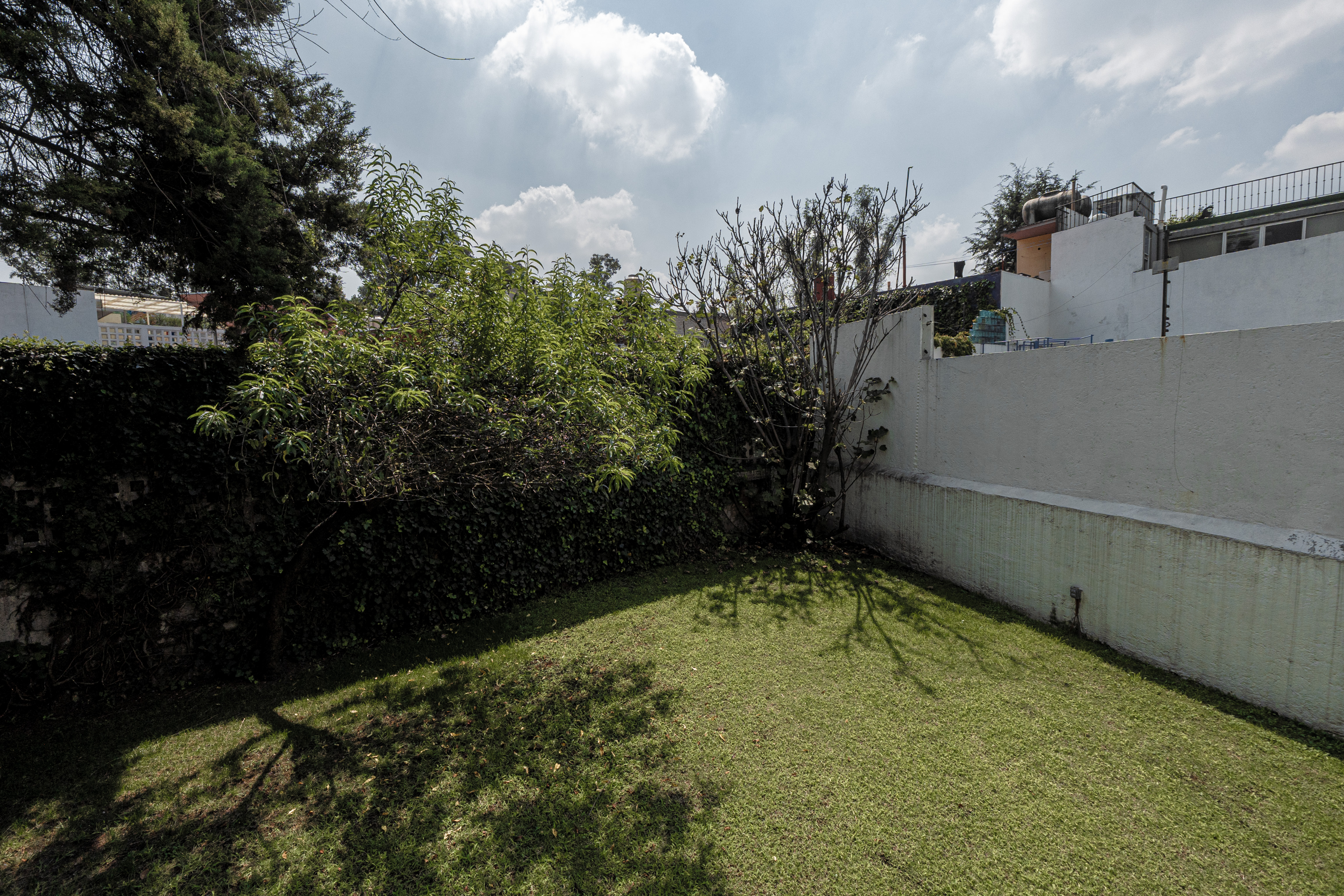 Fernando Alencastre I image 4