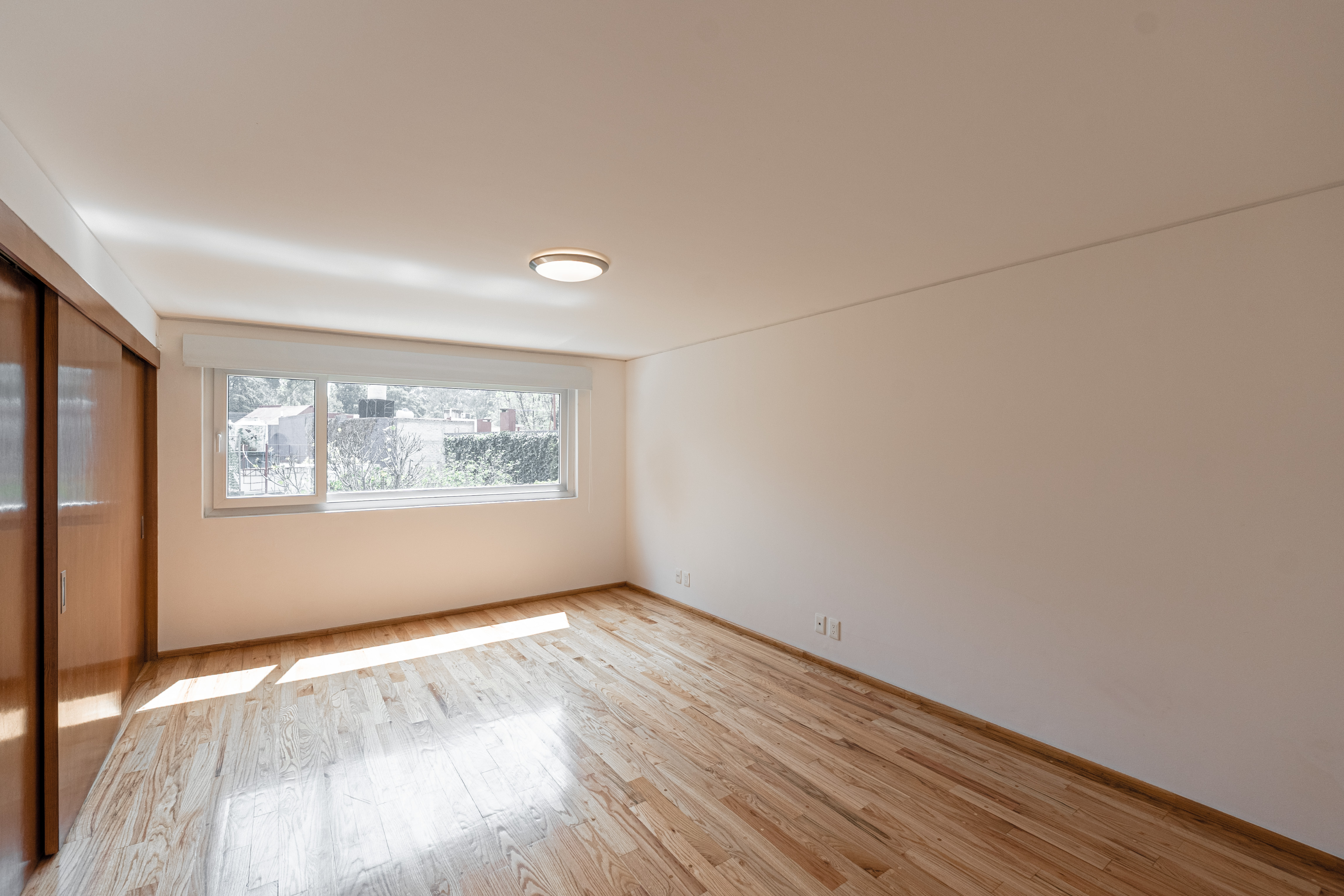 Fernando Alencastre I image 5