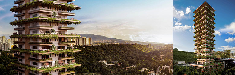 Paseo de los Tamarindos I