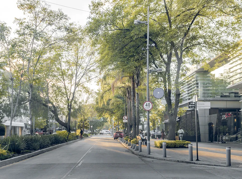 Polanco