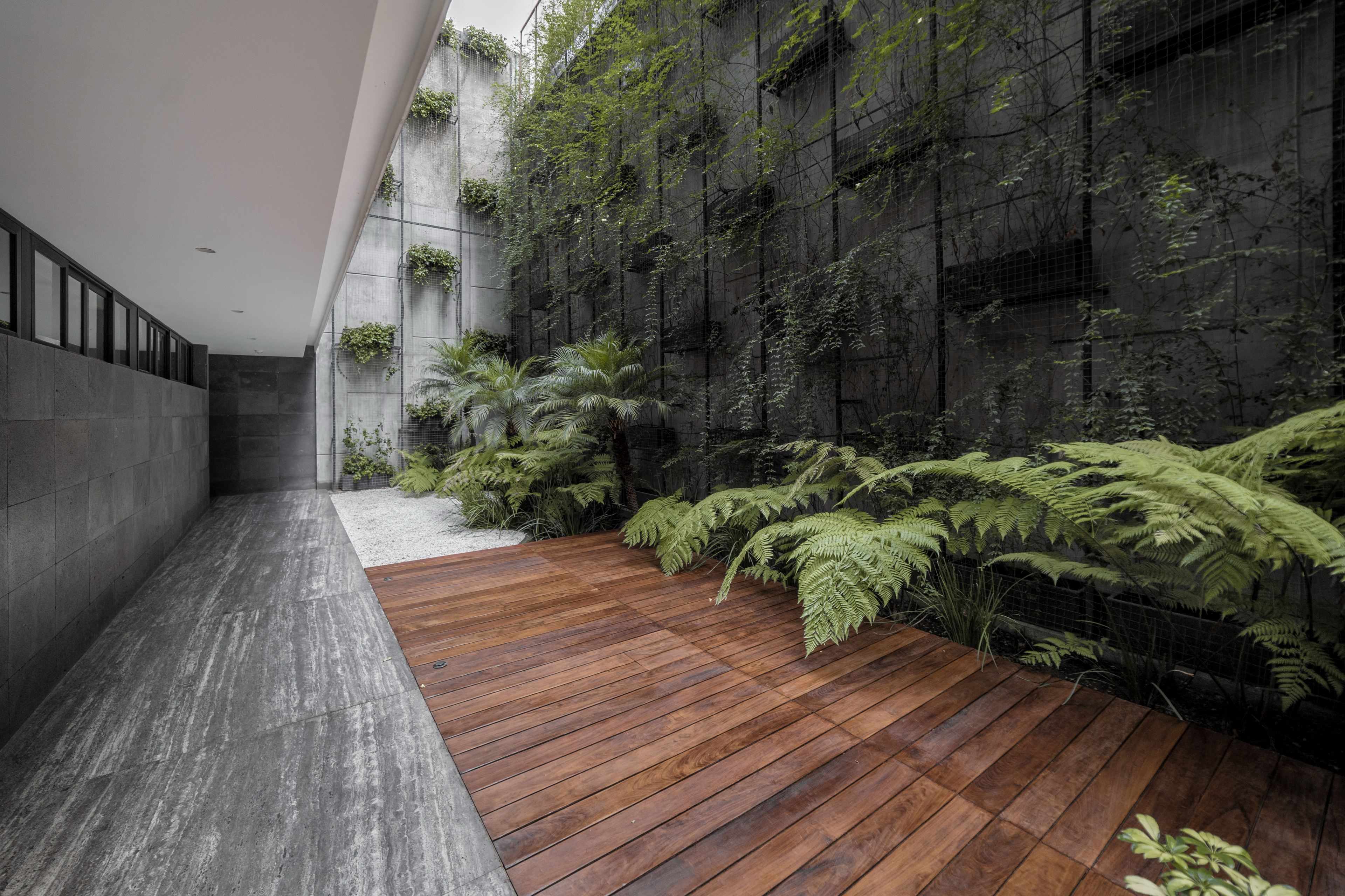 Eugenio Sue VI image 2