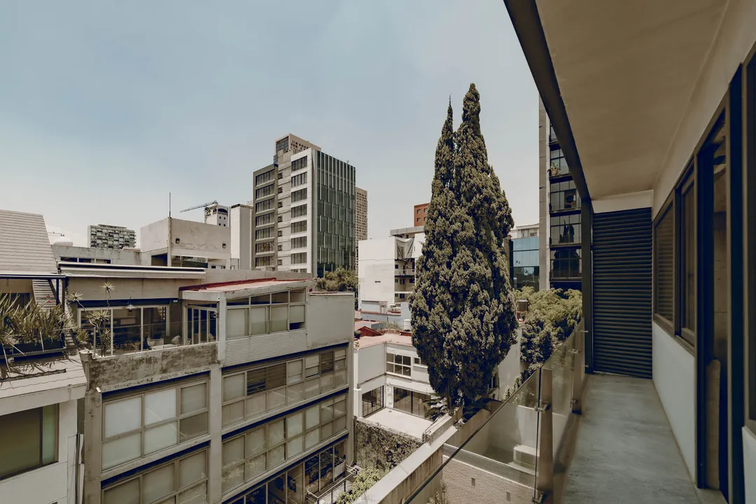 Imagen de 