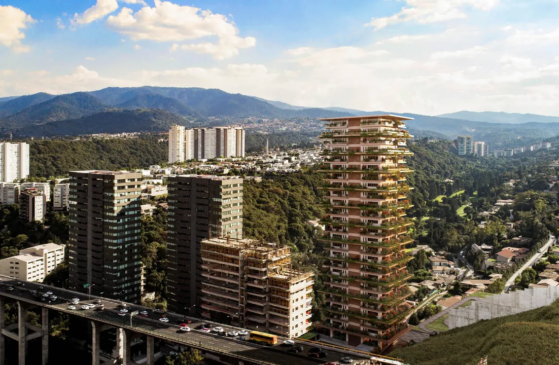 Imagen de 