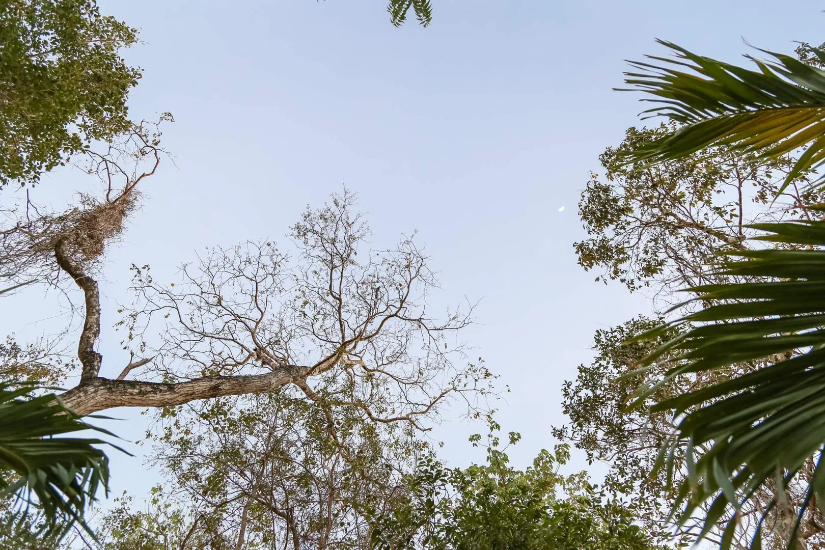 Xalet Tulum