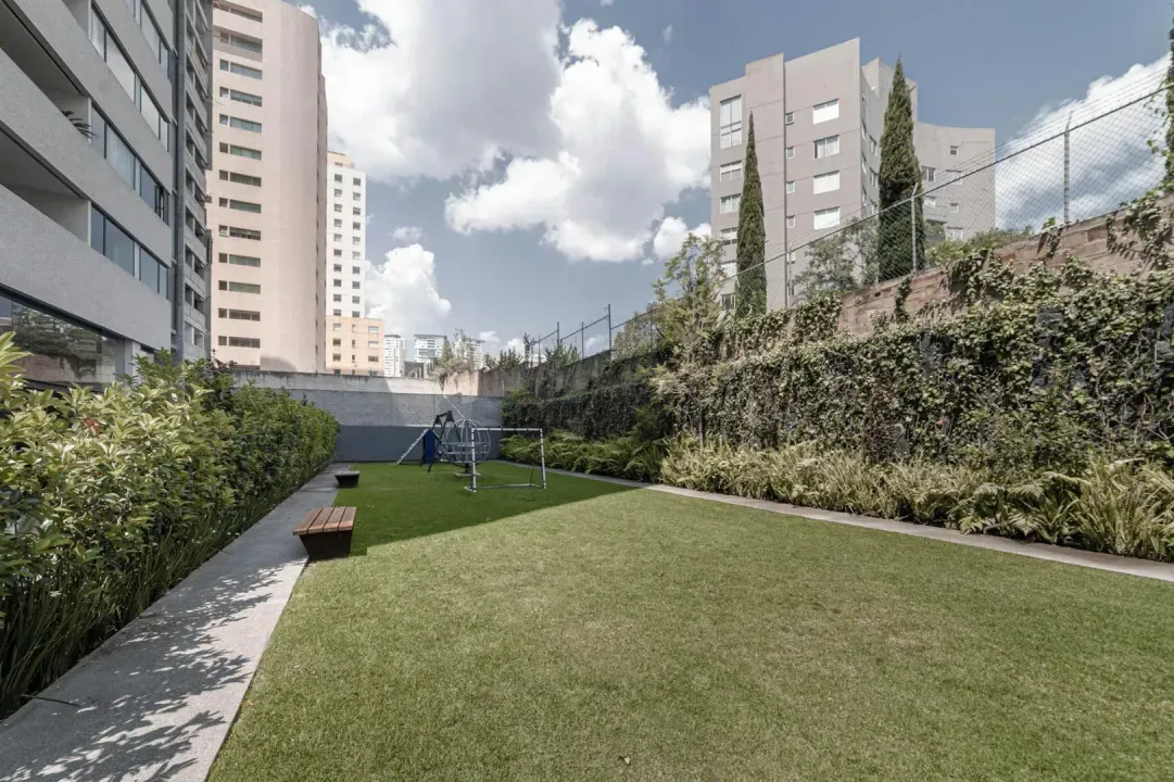 Imagen de 