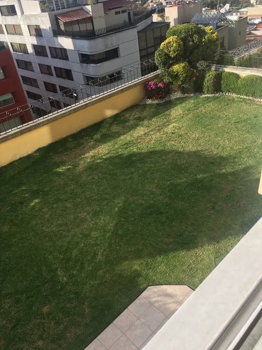 Paseo de los Laureles XI image 3