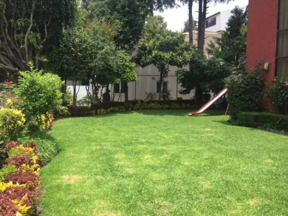 Imagen de 