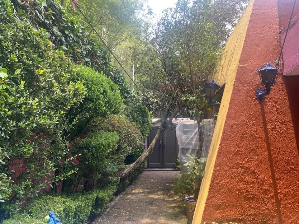 Imagen de 