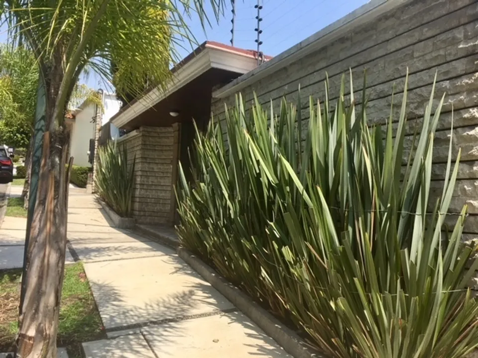 B De Zapotes I image 0