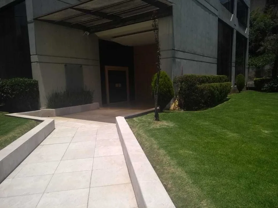 Imagen de 