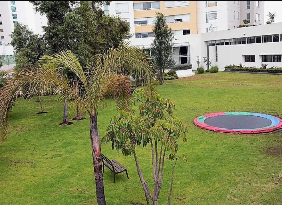 Imagen de 