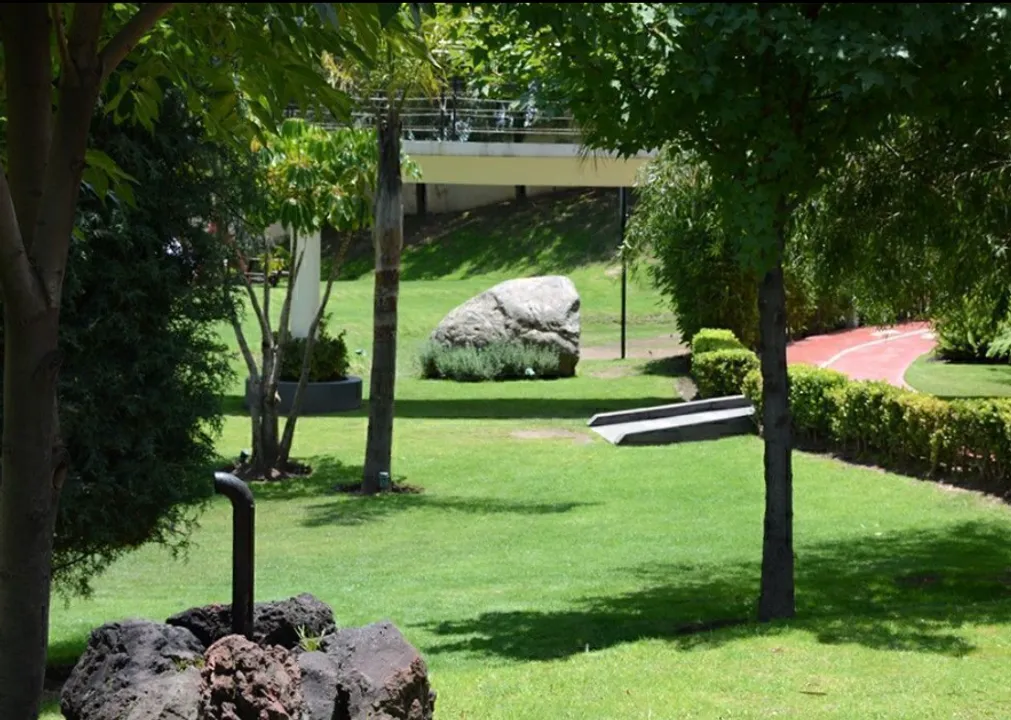 Imagen de 