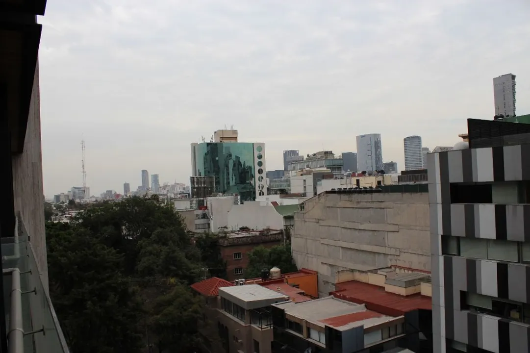 Imagen de 