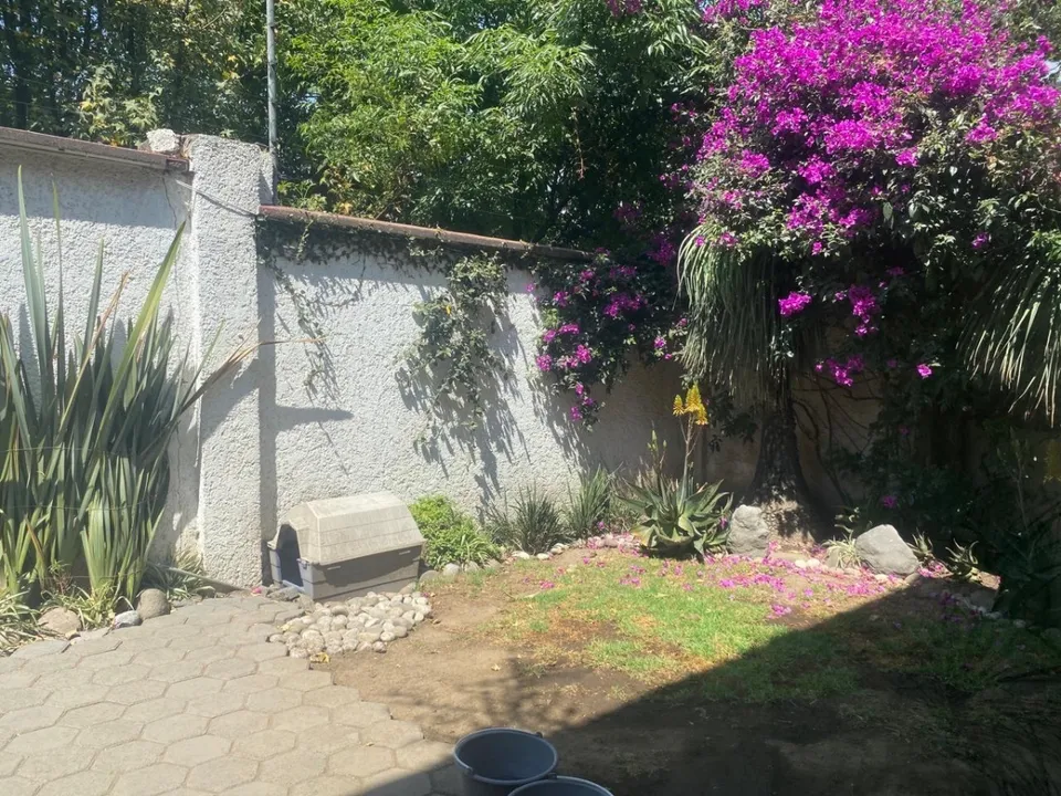 Imagen de 