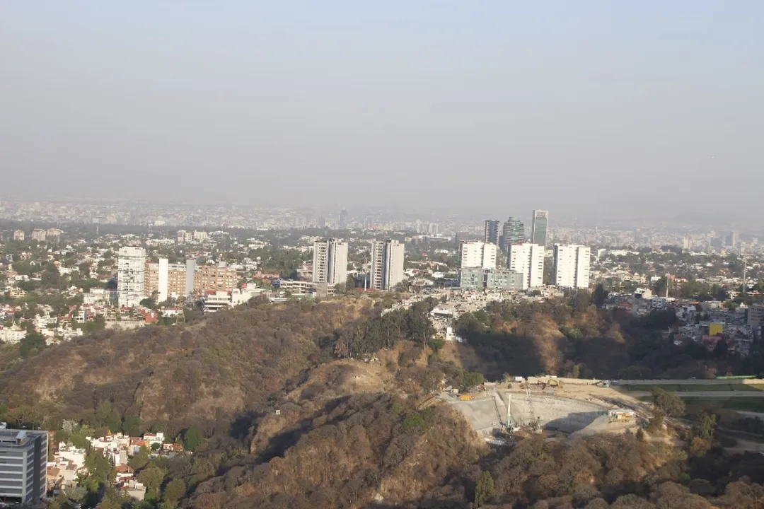 Imagen de 