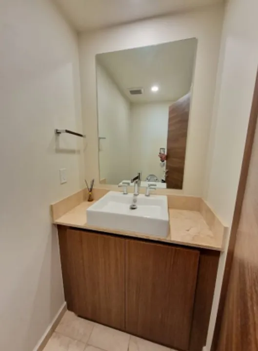 Lago Zurich III image 3