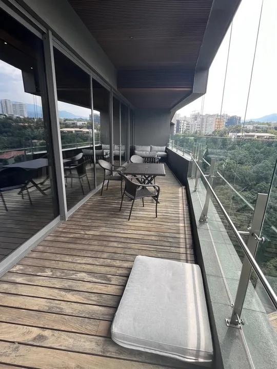 Toribio Alcaraz II image 3