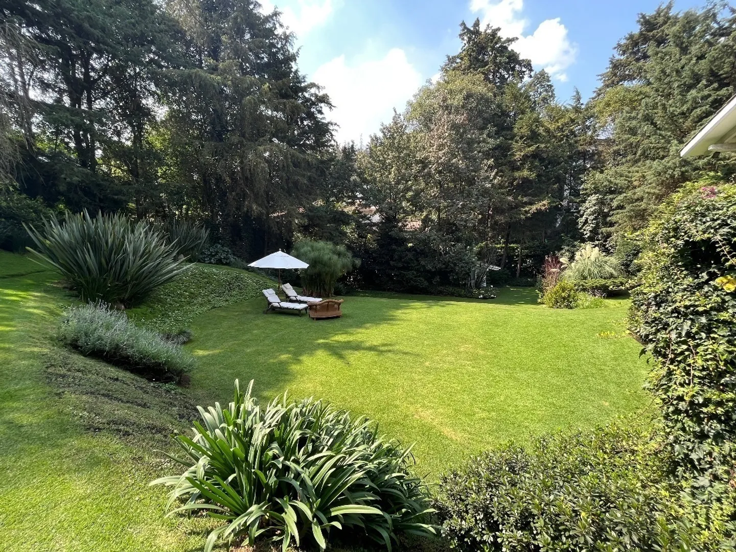 Desierto A Los Leones I