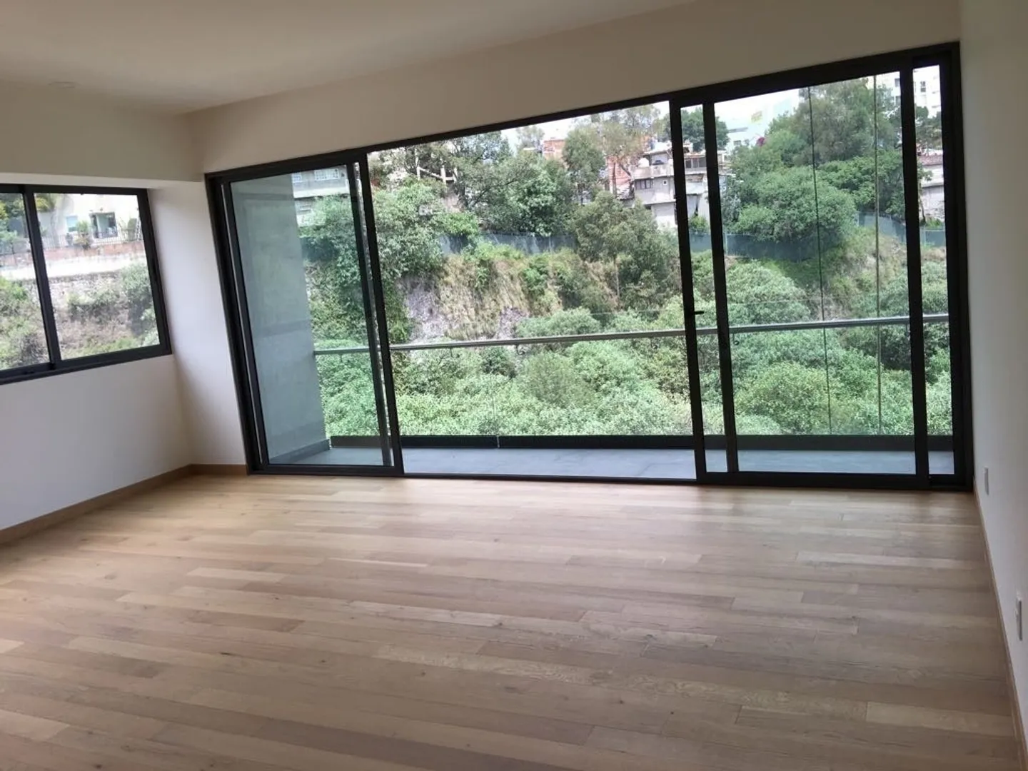 Imagen 1 de Julian Adame V