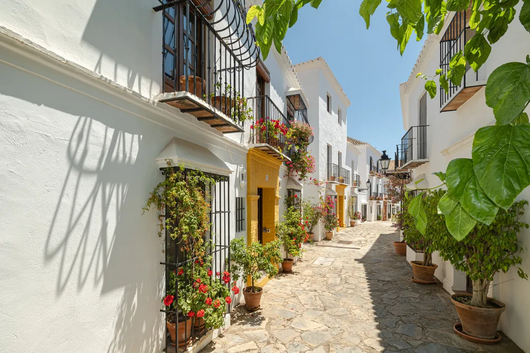 Imagen de 