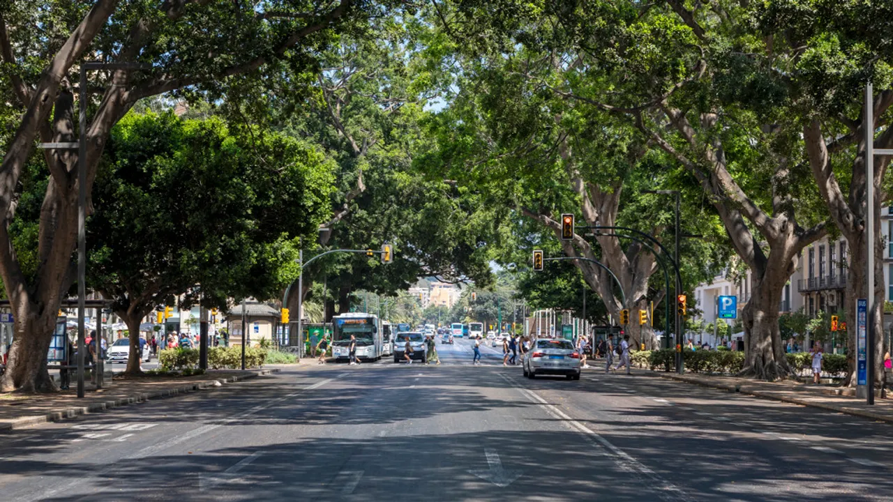 Imagen de 