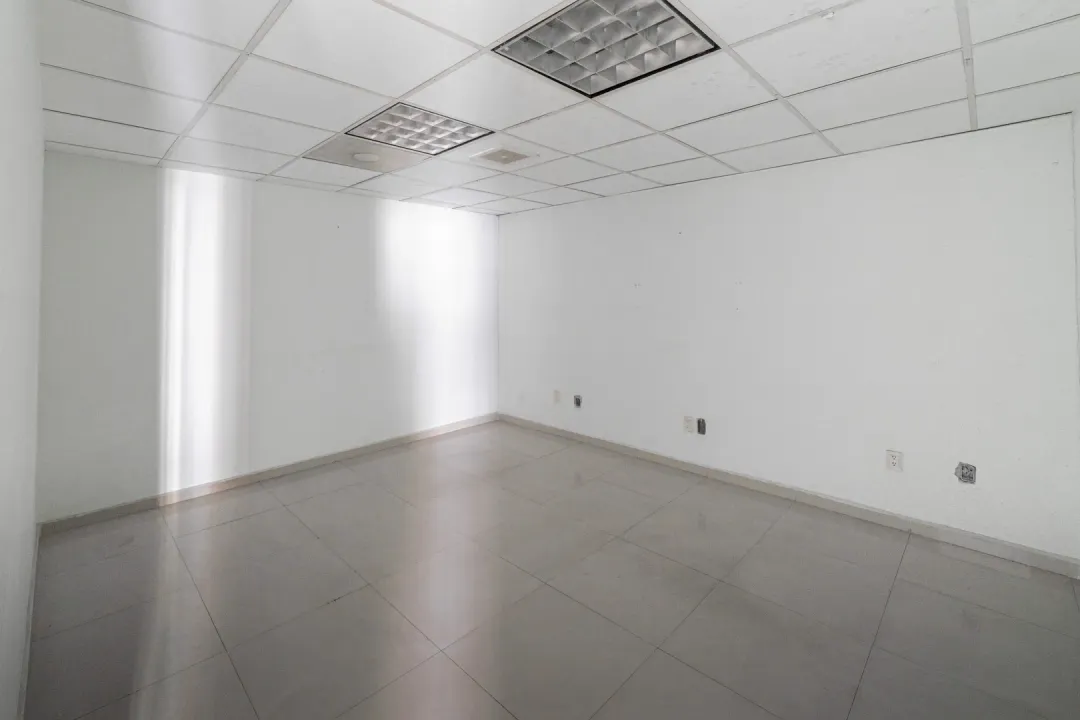 Imagen de 