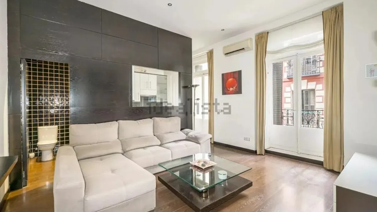 Large Dual Property in the Heart of Madrid image 2