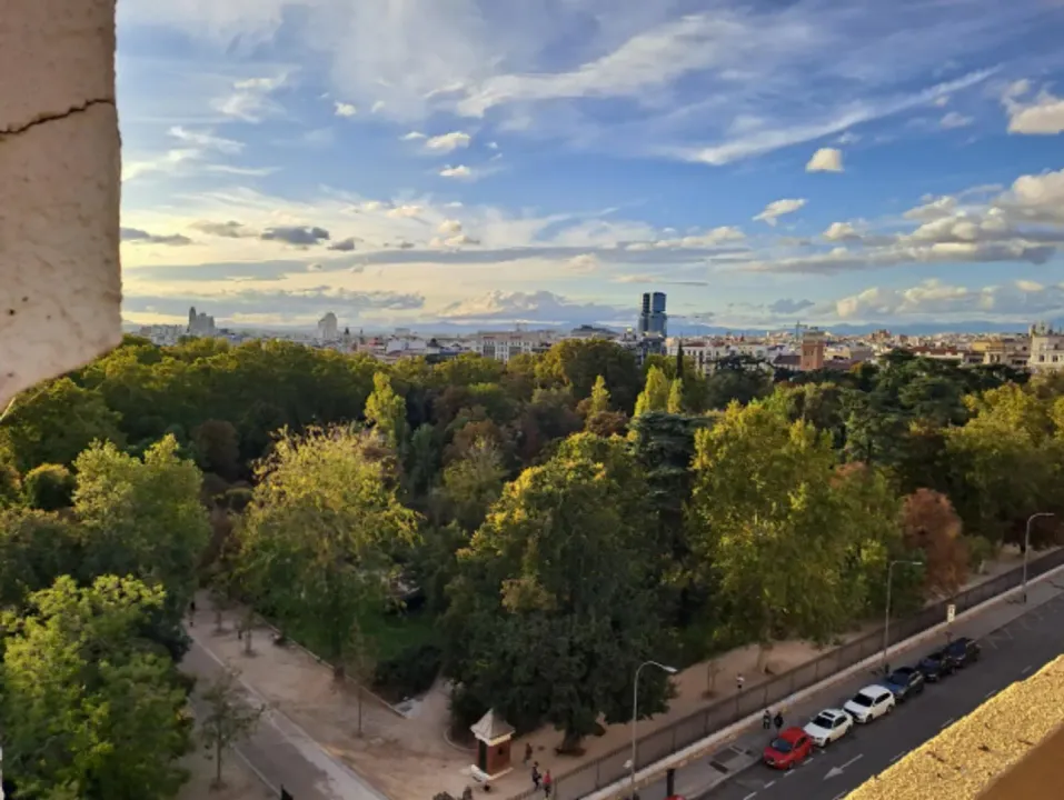 Penthouse facing Retiro IX image 0