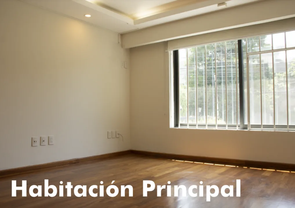 Imagen de 
