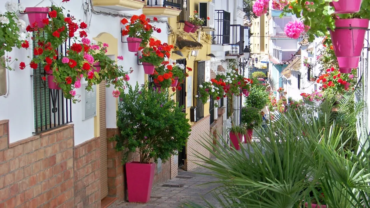 Imagen de 