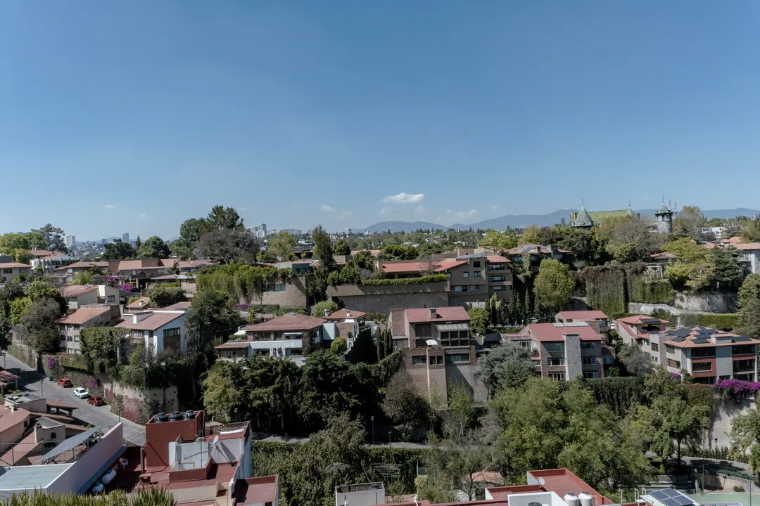 Imagen de 
