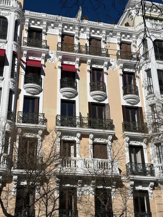 Spectacular apartment in the Salamanca neighborhood in a classic building image 0