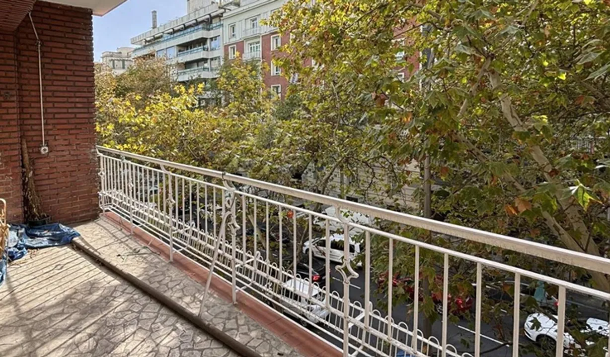 José Abascal image 0