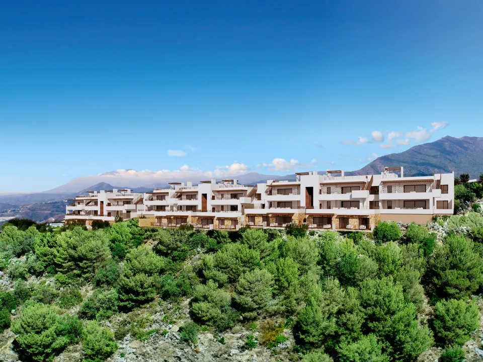 Almazara Forest image 3