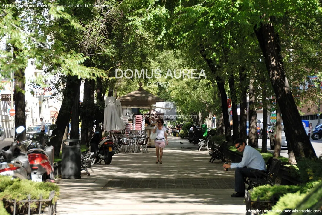 Imagen de 