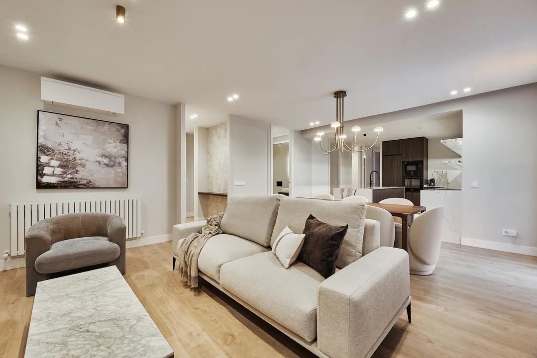 General Pardiñas VI image 0