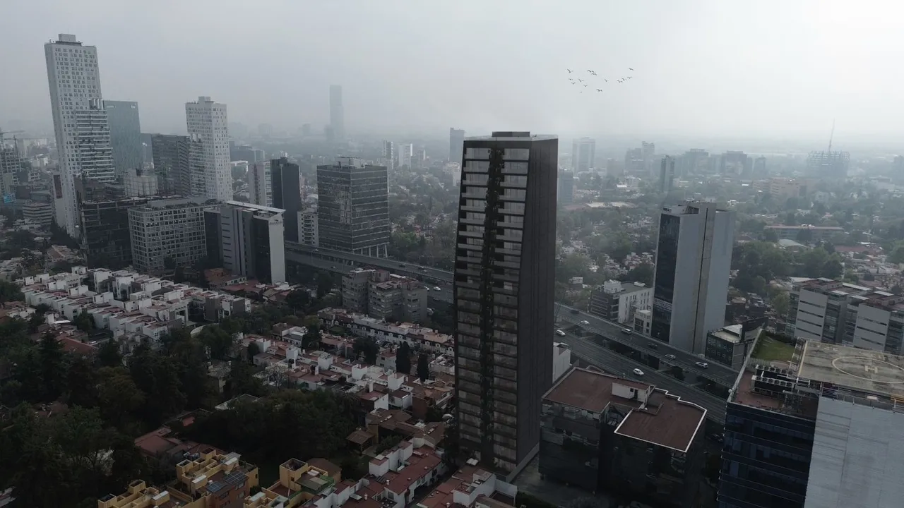 Imagen de 