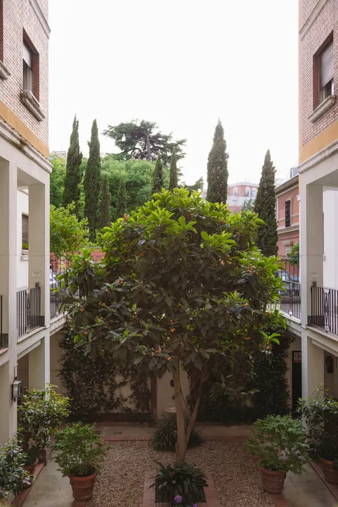 CLAUDIO COELLO III image 1