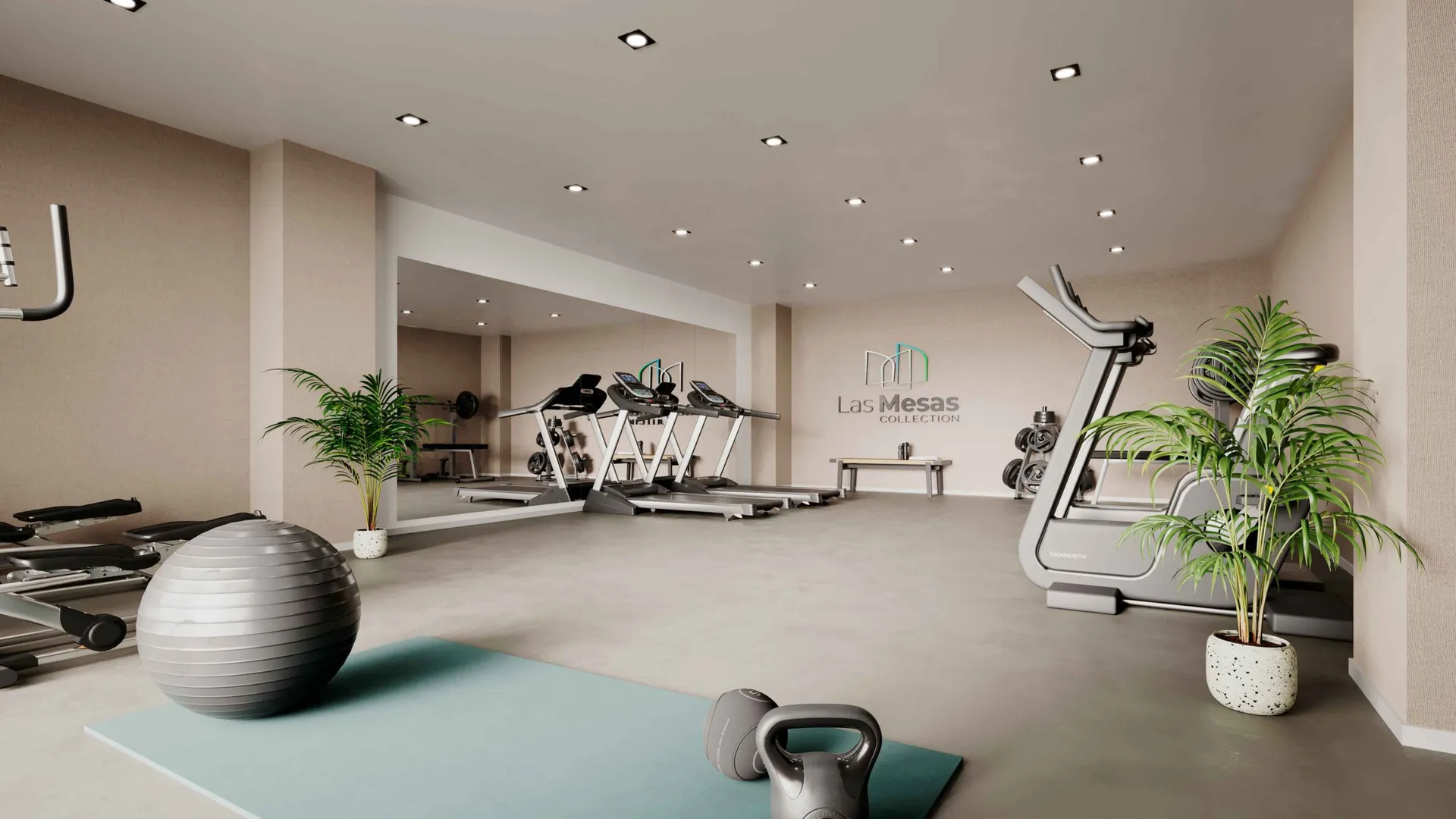 Las Mesas Collection I image 5