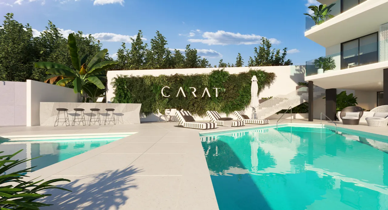 CARAT I image 1