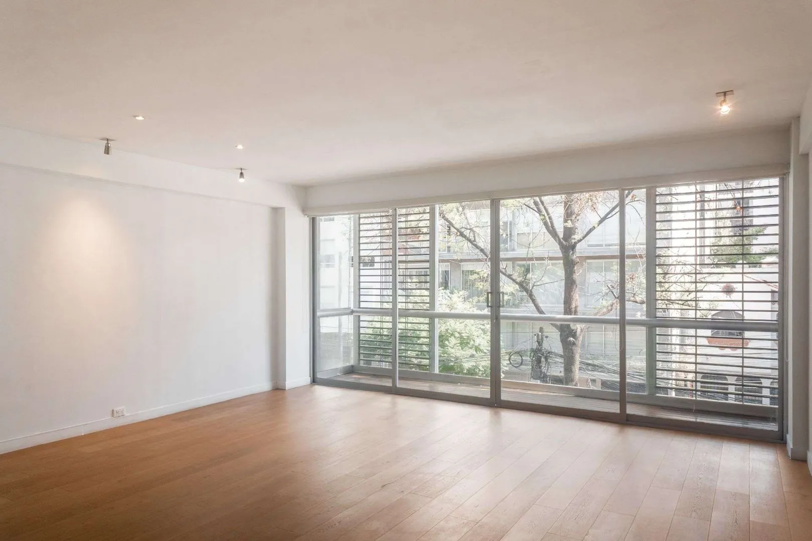 Imagen 1 de Lamartine X