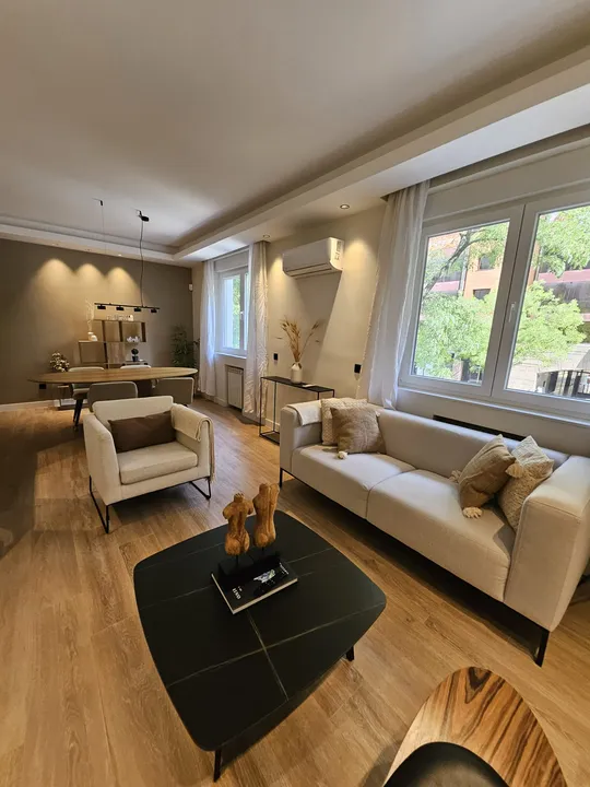 Diego de León XX image 1