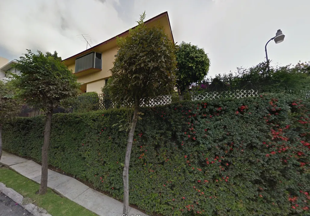 Bosques de Tulipanes I image 0