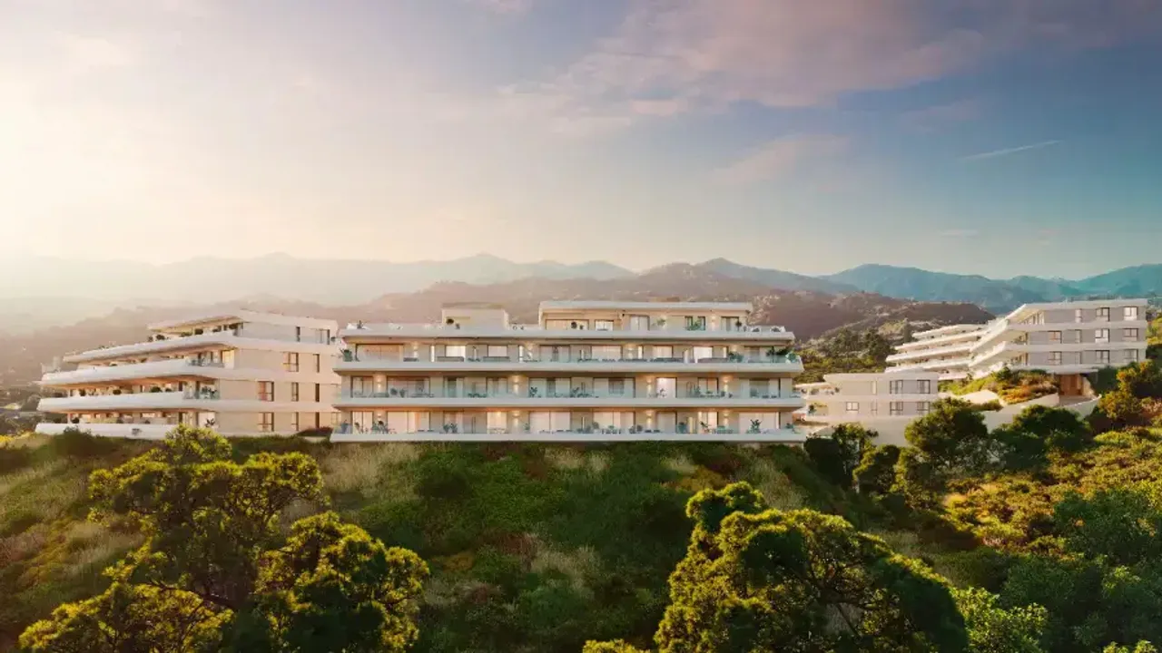 Australy Aures image 0